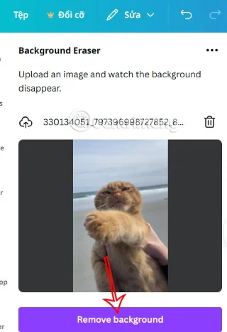 Cómo crear un fondo transparente en Canva gratis