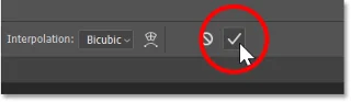Cómo pegar una imagen en una selección en Photoshop