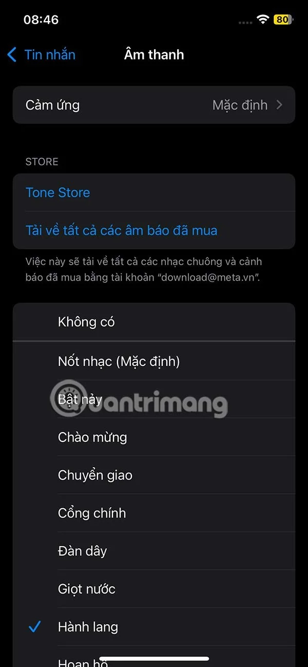 如何更改 iPhone 訊息通知聲音