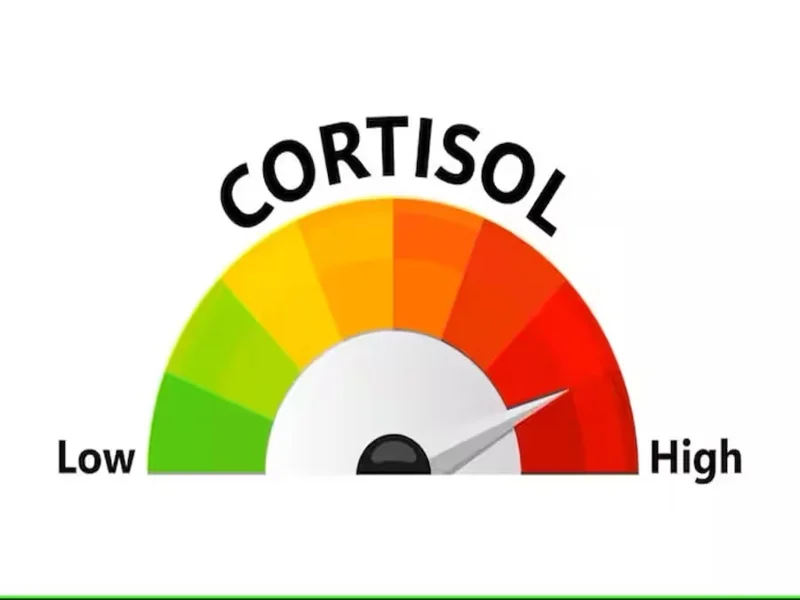Waarschuwingssignalen van een hoog cortisolgehalte en hoe u dit kunt verhelpen