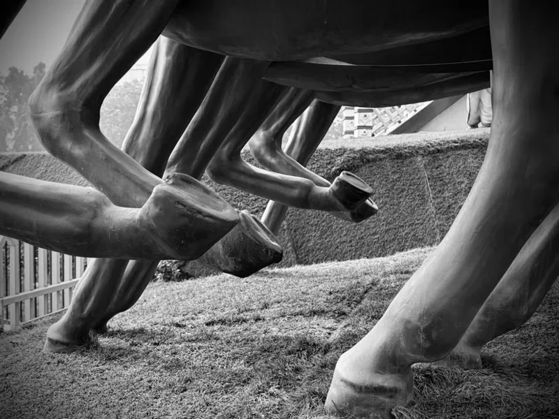 Comment utiliser les styles photographiques de l'iPhone 16