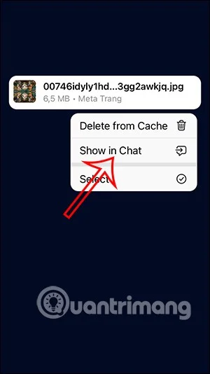 Telegram'da indirilen dosyaları yönetme talimatları