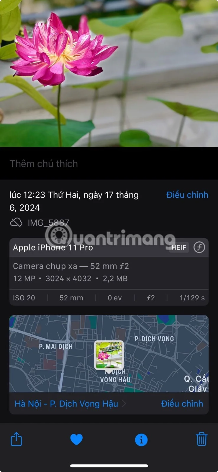 iPhone에서 사진 앱을 빠르게 마스터하기 위한 8가지 팁