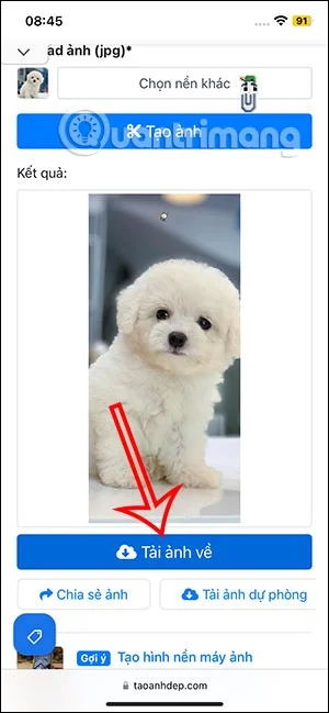 iPhone için salıncak evcil hayvan duvar kağıdı nasıl oluşturulur