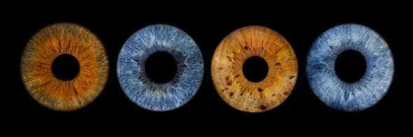 Cada persona tiene un color de ojos diferente, ¿por qué?