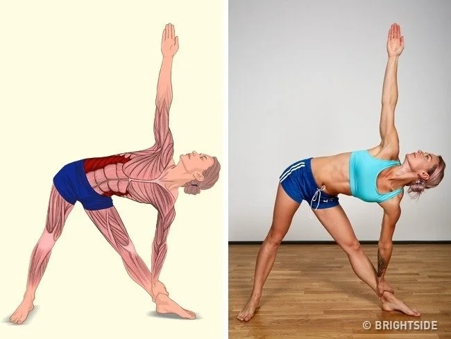 18 movimientos sencillos para estirar los músculos en cualquier posición del cuerpo