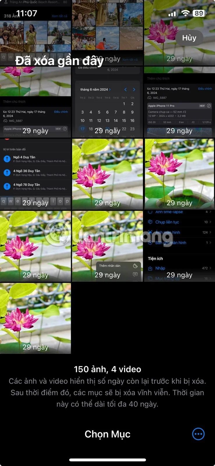 iPhone에서 사진 앱을 빠르게 마스터하기 위한 8가지 팁