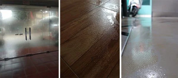 ¿Qué es Nom? 10 formas efectivas de prevenir la humedad en casa