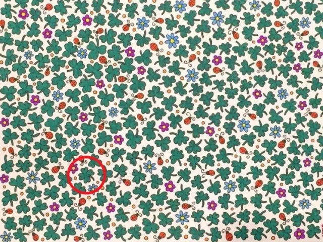 ¡Practiquemos tu vista con estos acertijos que dañan el cerebro a continuación!