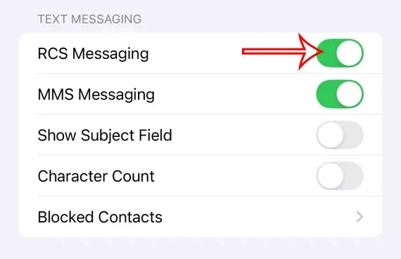 iOS 18에서 RCS 메시지를 활성화하고 보내는 방법