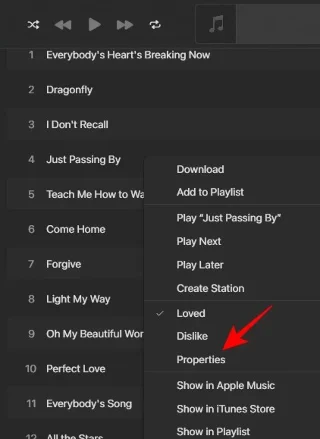 How to Add Lyrics to Apple Music Windows How to Add Lyrics to Apple Music Windows