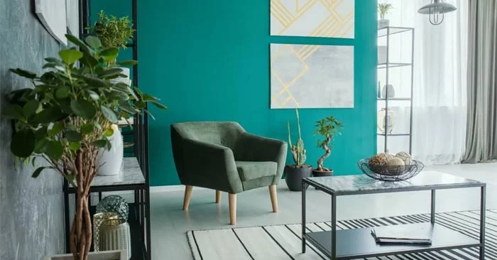 Consejos para diseñar plantas de interior para hacer tu espacio vital más hermoso