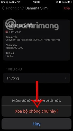 Instructies voor het installeren van lettertypen op iPhone en iPad