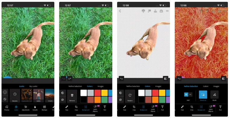 Magical photo background removal apps you should try