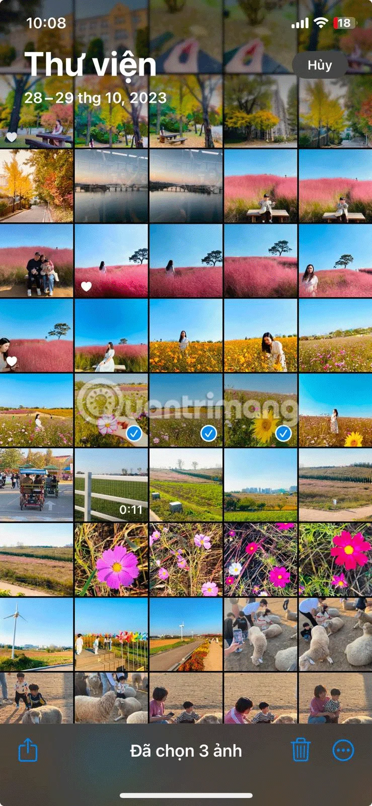 Cómo organizar fotos en el iPhone
