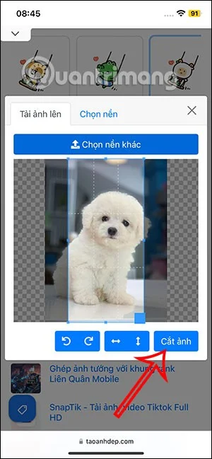 iPhone için salıncak evcil hayvan duvar kağıdı nasıl oluşturulur