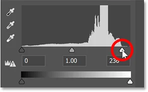 Hoe je een halftoonpatroon in Photoshop maakt