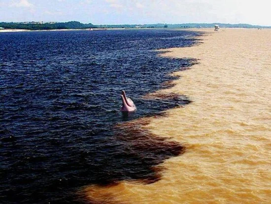 19 Fotos, die die Geheimnisse der Welt entschlüsseln