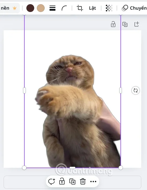 Cómo crear un fondo transparente en Canva gratis