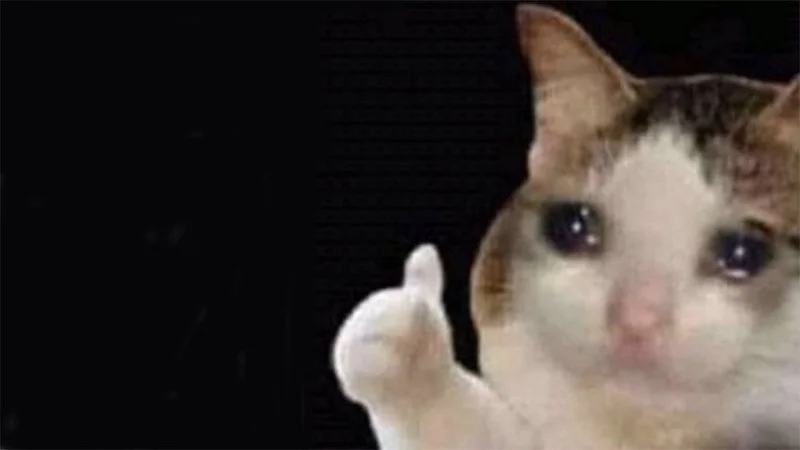 Meme van een huilende kat, grappige foto's van een huilende kat