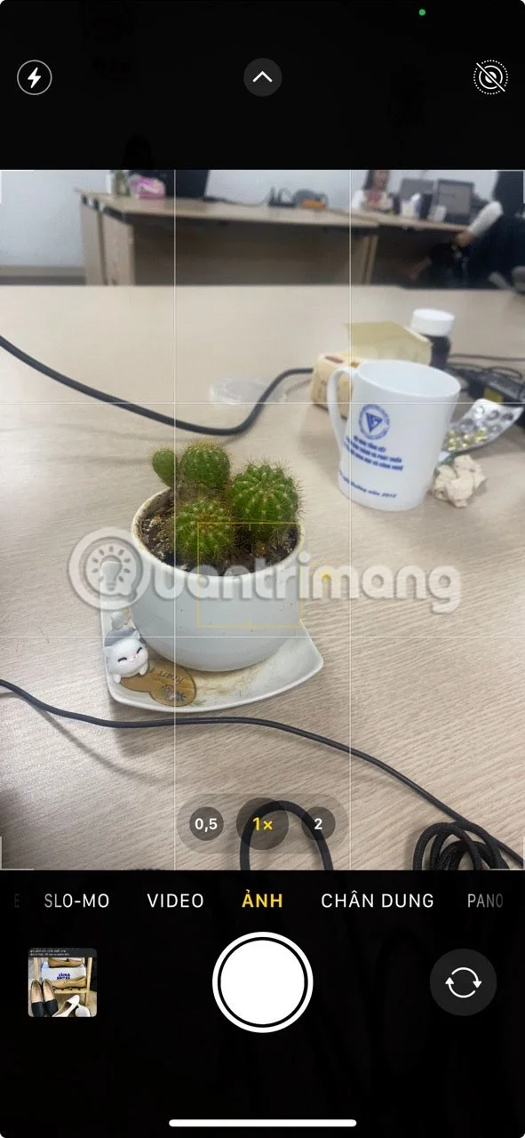 iPhone에서 더 나은 라이브 사진을 찍는 방법
