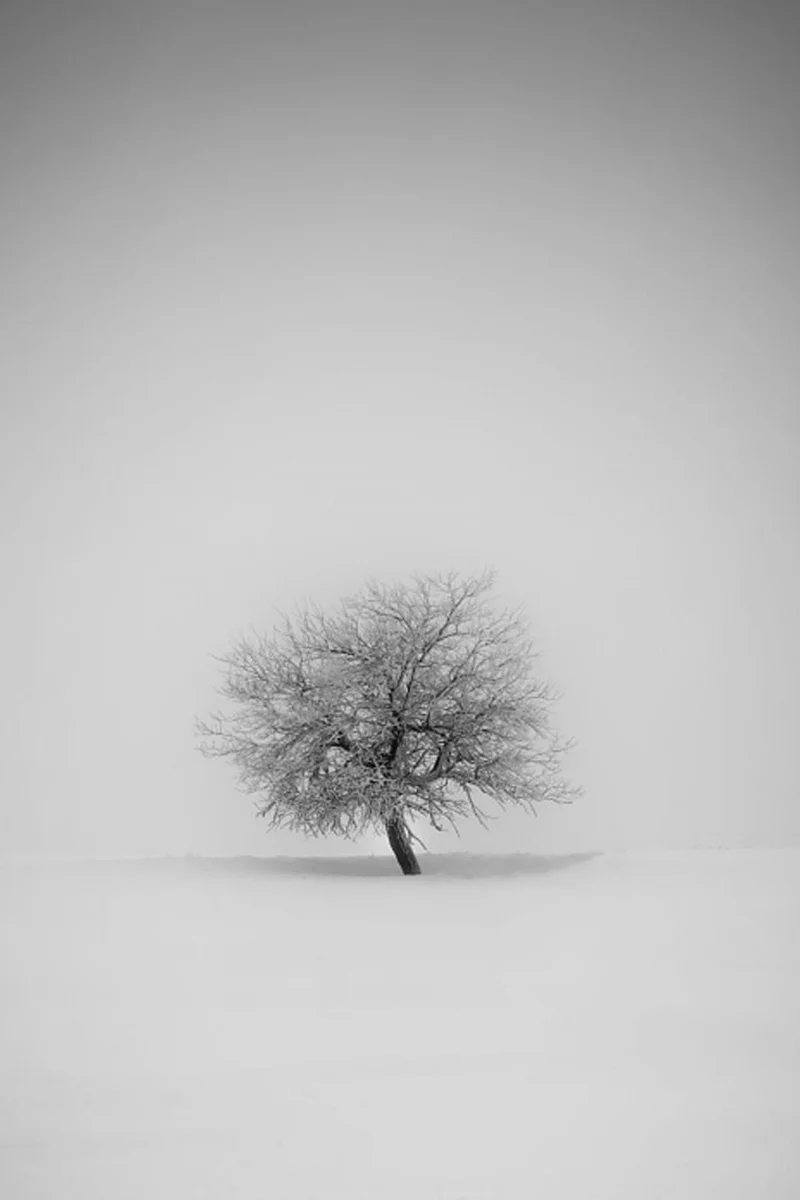 Papel pintado blanco, hermoso papel pintado blanco.