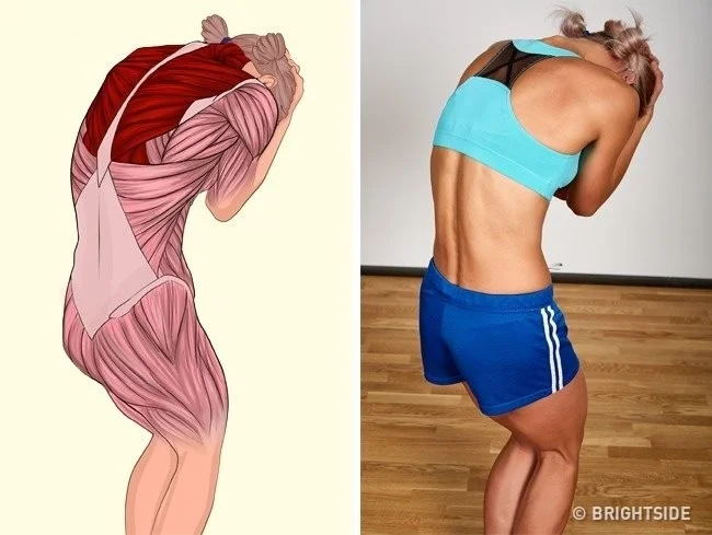 18 movimientos sencillos para estirar los músculos en cualquier posición del cuerpo