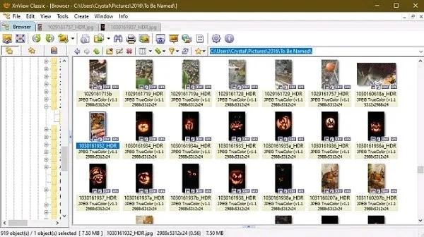 Ölümsüzlük Muskası Nasıl Elde Edilir ve Minecraft'ta Gerçekte Ne İşe Yarar