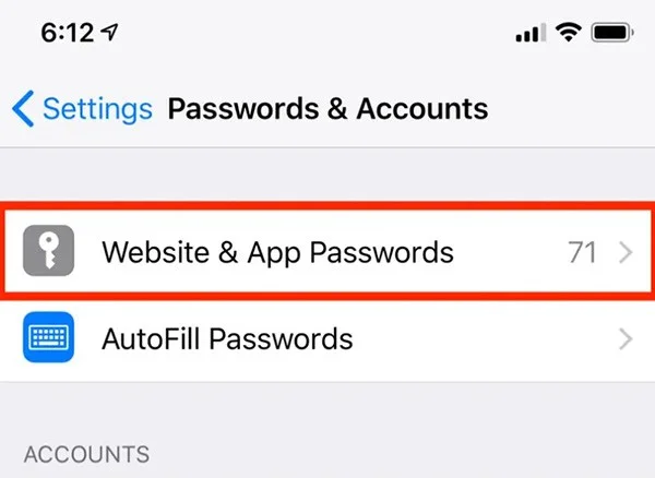 Hoe u opgeslagen wachtwoorden op de iPhone kunt bekijken en eenvoudig wachtwoorden kunt bewerken
