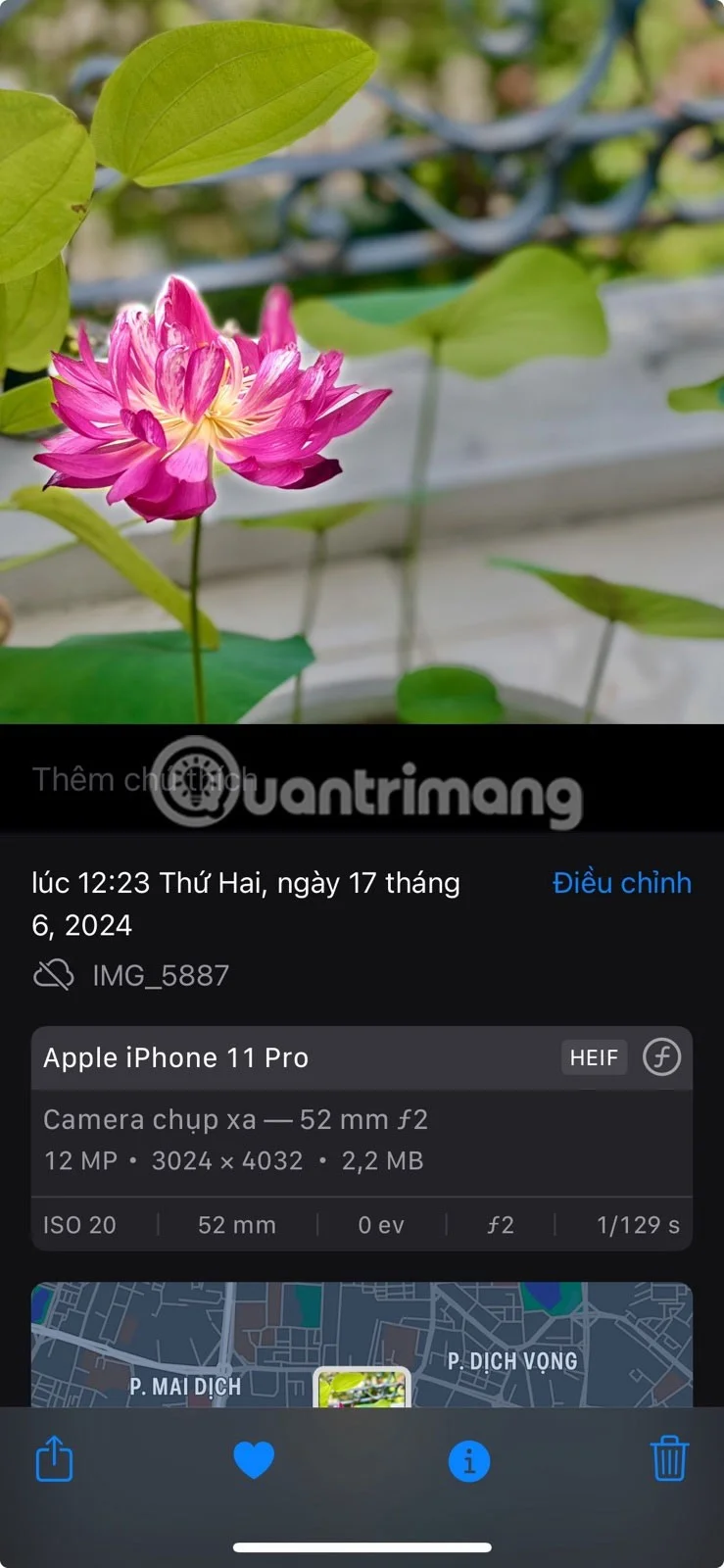 iPhone에서 사진 앱을 빠르게 마스터하기 위한 8가지 팁