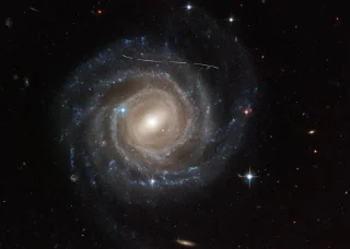 ¿Pueden los humanos esquivar balas voladoras como en las películas de acción?