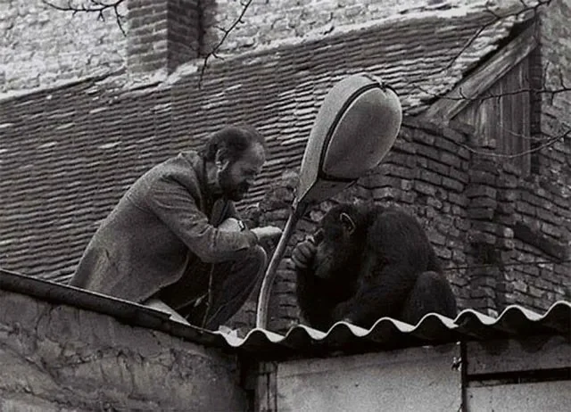 28 zeldzame historische foto's en de ongelooflijke verhalen erachter