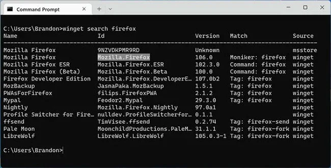 How to use Windows Package Manager to easily install and update programs