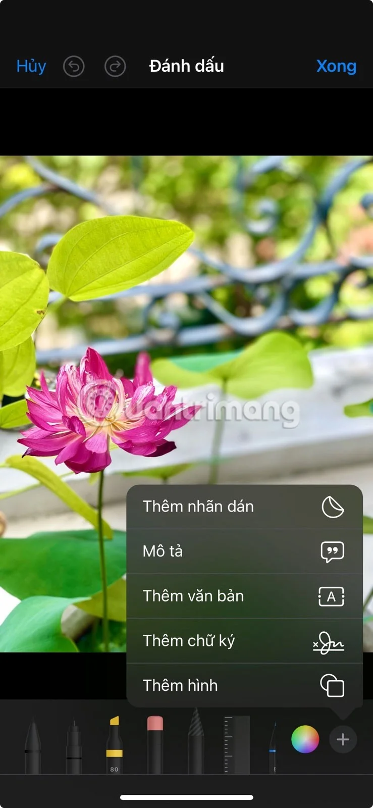 iPhone에서 사진 앱을 빠르게 마스터하기 위한 8가지 팁