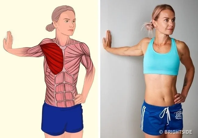 18 movimientos sencillos para estirar los músculos en cualquier posición del cuerpo