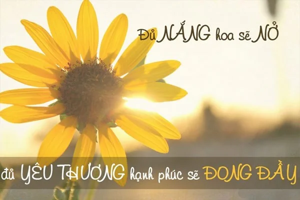 Positive quotes, happy status, short optimistic and positive status