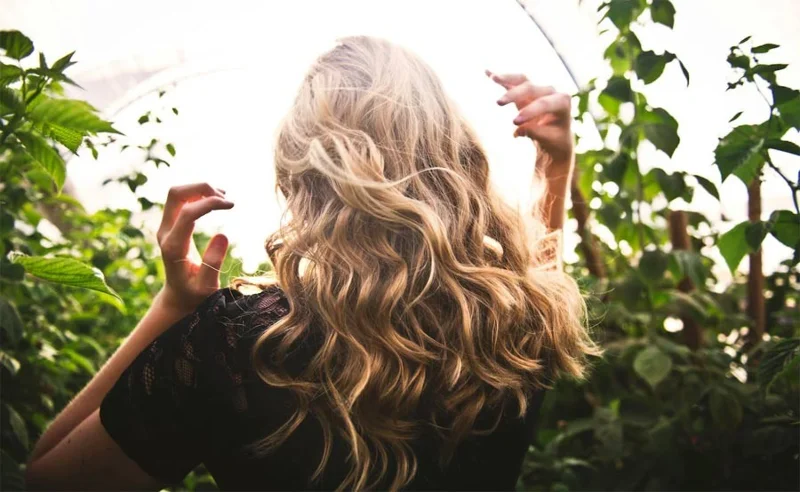 Beneficios de las semillas de chía para el cabello