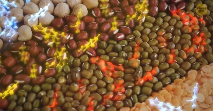 Alimentos quemagrasas abdominales de eficacia comprobada