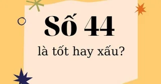 Wat is getal 44? Betekenis van getal 44