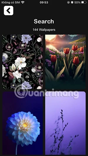 Aplikacja Experience Papers Wallpapers oferuje piękne tapety na iPhone'a