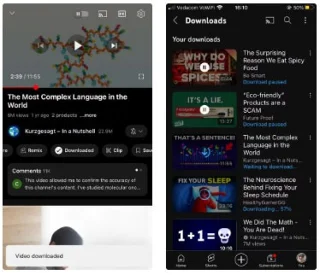 Waarom veel mensen elke dag YouTube kijken, maar geen premium-abonnement nemen