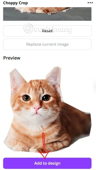 Como cortar fotos para dar forma no Canva