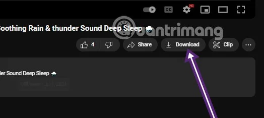 Cómo descargar vídeos de Youtube de forma sencilla y rápida