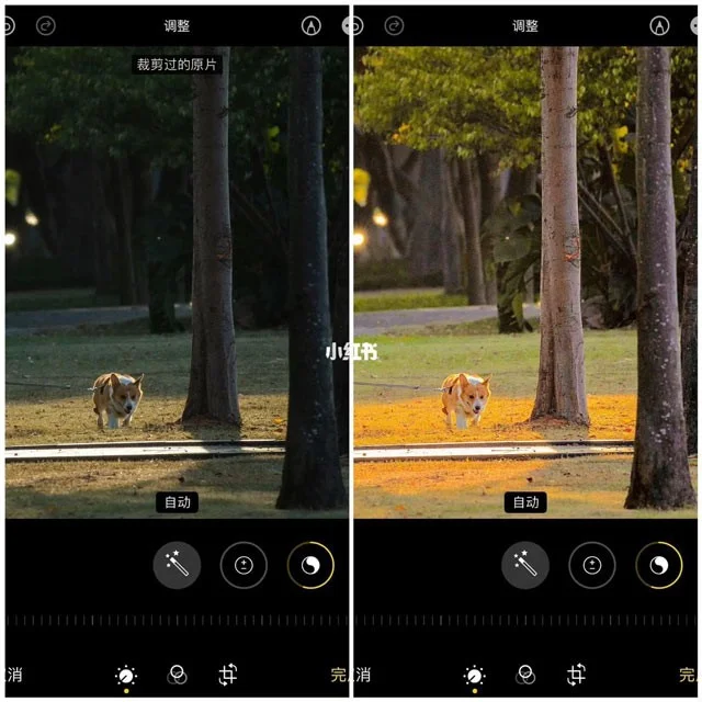 iPhone에서 사용할 수 있는 멋진 사진 편집 공식