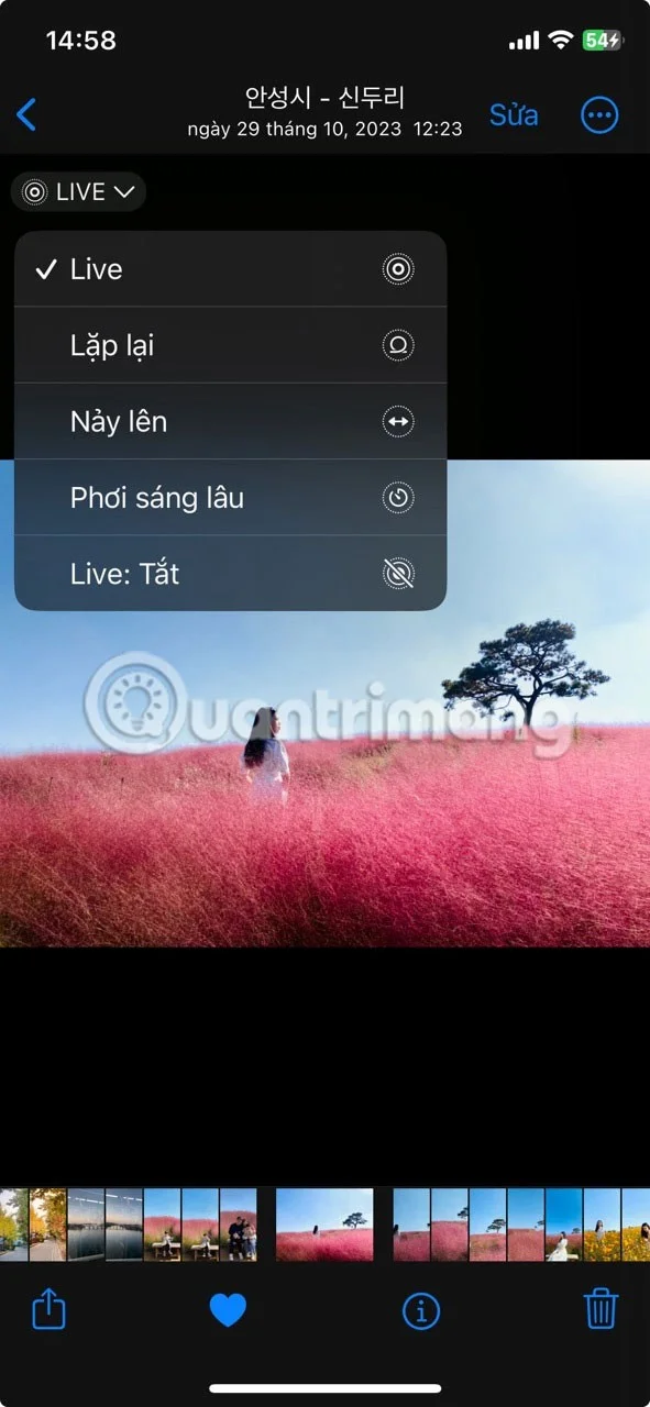 iPhone에서 더 나은 라이브 사진을 찍는 방법