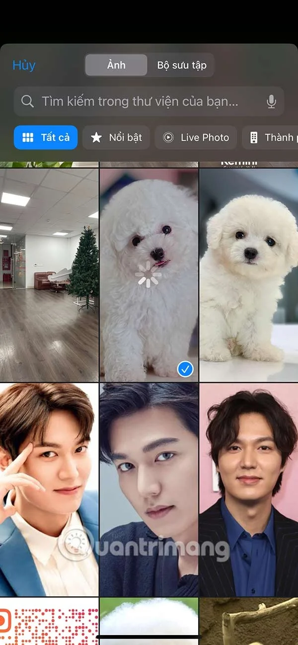 iPhone에서 전체 화면으로 전화를 받는 방법