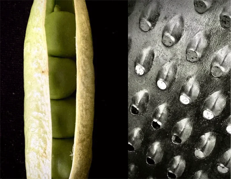 How the iPhone 16 turns everyday objects into stunning macro art