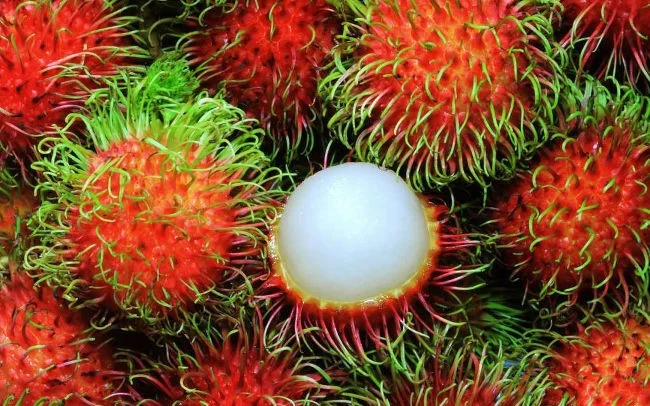 Lijst van fruitsoorten die tot de zeldzaamste en lekkerste ter wereld zijn verkozen