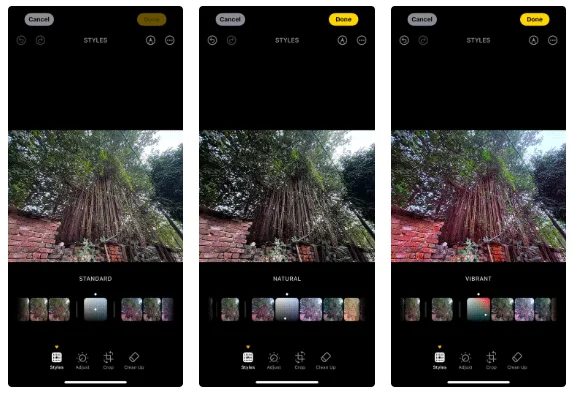Comment utiliser les styles photographiques de l'iPhone 16