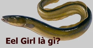 Wat is Eel Girl? Waarom is Eel Girl eng?